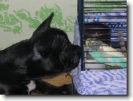 To je ale l�ska,co?