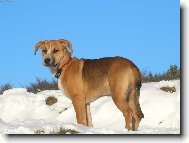 Den je kr�sn�......