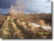 Prost� kr�sa....