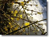 mr�z m� nesp�l�