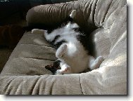 Nejd�le�it�j�� je pohodl�