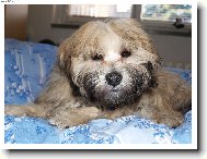 Co?Co�e?Hmm nech m� sp�t.