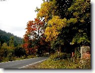 a to je vloni pok�celi