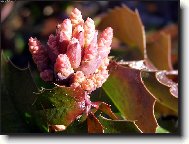 P�ich�z� jaro?