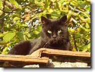 Odpo�inek v podzimn�ch barv�ch