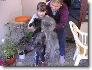 dv� ko�i�ky a hol�i�ka