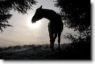 Pro� to slun��ko tak m�lo h�eje.