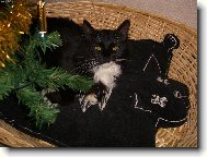 Uspokoj� m� ka�d� mali�kost