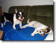 Nejlep�� kamar�di...