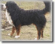 ��ham na ma�i�ku