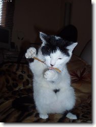 ty�inky ty j� r�da