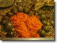 �elvi�ky na sn�dani