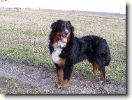 Achil z Opatovick�ch luk