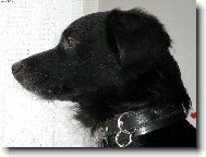 Odpoledn� melancholie