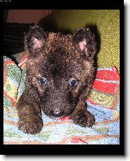 A� vyrostu, sn�m Karkulku...:)