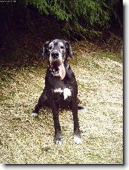 Leont�nka na proch�zce