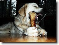 ...hov�z�,to je ona...