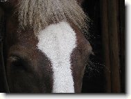 Ko�sk� tajemstv�