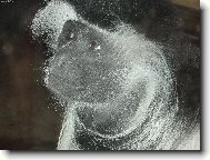 Zamy�len� tv��