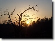 z�pad slunce v zahr�dk�ch