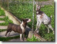 Ty jsi ale divn� koza :)