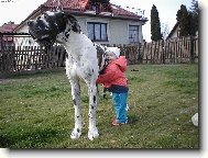 M�j velk� kamar�d