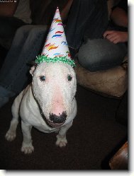 V�E NEJLEP��!!!