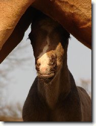 kone�n� na sv�t�...