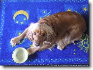 Dejte mi naj����st