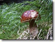 Taky u� se t��te ?