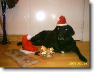  To jsem ale hezk pniko co?? peju stastne a vesele