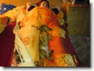 Rodinná pohoda se šarlotkou.