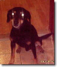 Rd si hraji na UFO :)