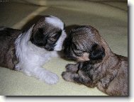 Jsme šikovné holčičky :o)