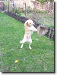 Jonatánek hrající voleyball