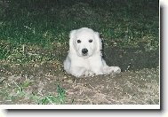 to ale dalo práce, aby jeden něco našel . . .