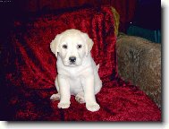 Tak to jsem já Bessy