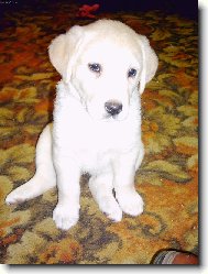 Teď jsem sice malá,ale až vyrostu to bude ze mě slečna co?