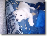 Už mě nechte konečně spááát.