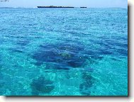 podvodn� n�rodn� park