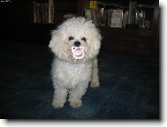 To jsem na�el a nikomu to ned�m