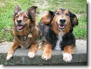 Belinka a Bert�k na dovolen�