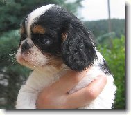 8 t�denn� Big Brother ze Slunn� str�n�