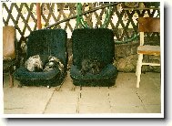 mu�ket�r z Beskyd