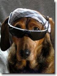 Nem� opalovac� kr�m?