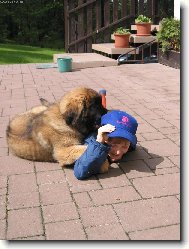 Artu� Quin. Galaxy Oss