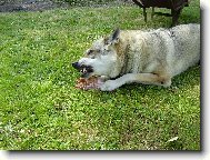 pozor!tohle jsem si ulovila J�!