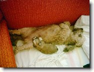 �t�n�tko s maminkou