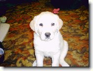 Tak co umím pózovat?