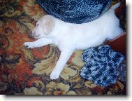 jak dlouhá,tak široká...